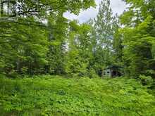 40 MARQUARDT ROAD | Addington Highlands Ontario | Slide Image One