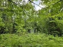 40 MARQUARDT ROAD | Addington Highlands Ontario | Slide Image Thirteen