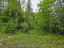 40 MARQUARDT ROAD | Addington Highlands Ontario | Slide Image Five