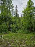 40 MARQUARDT ROAD | Addington Highlands Ontario | Slide Image Four