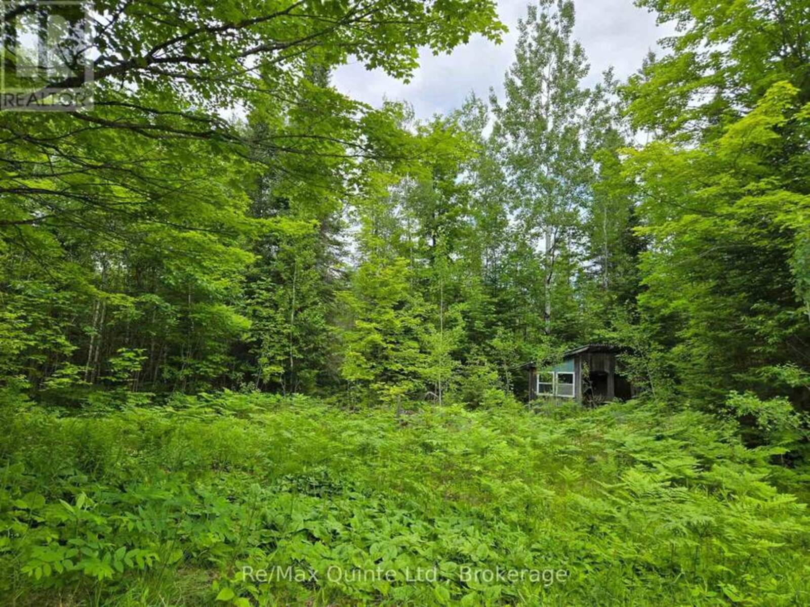 40 MARQUARDT ROAD, Addington Highlands, Ontario K0H 1K0