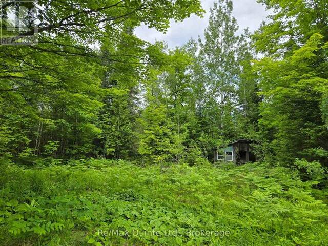 40 MARQUARDT ROAD Addington Highlands Ontario, K0H 1K0 - Vacant Land For Sale