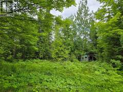 40 MARQUARDT ROAD Addington Highlands Ontario, K0H 1K0