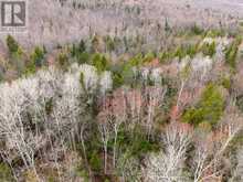 841 NORTH MCKENZIE LAKE ROAD | South Algonquin Ontario | Slide Image Three