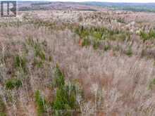 841 NORTH MCKENZIE LAKE ROAD | South Algonquin Ontario | Slide Image Eight