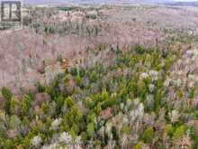 841 NORTH MCKENZIE LAKE ROAD | South Algonquin Ontario | Slide Image Nine