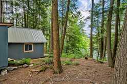 852 ISL 8 CATCHACOMA LAKE ISLAND | North Kawartha Ontario | Slide Image Thirty-one