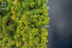 852 ISL 8 CATCHACOMA LAKE ISLAND | North Kawartha Ontario | Slide Image Thirty-three