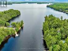 852 ISL 8 CATCHACOMA LAKE ISLAND | North Kawartha Ontario | Slide Image Forty