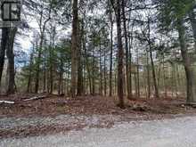 0 FIRE ROUTE 267 | North Kawartha Ontario | Slide Image Six