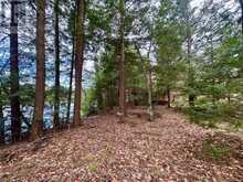 0 FIRE ROUTE 267 | North Kawartha Ontario | Slide Image Seven