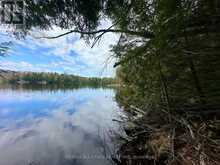 0 FIRE ROUTE 267 | North Kawartha Ontario | Slide Image Eight