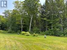 989 NORTH MCKENZIE LAKE ROAD | Hastings Highlands Ontario | Slide Image Thirty-three