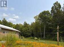 989 NORTH MCKENZIE LAKE ROAD | Hastings Highlands Ontario | Slide Image Thirty-eight
