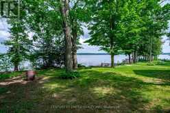 3069 CLEAR LAKE ROAD W | North Kawartha Ontario | Slide Image Forty-five