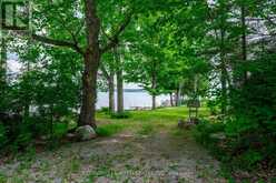3069 CLEAR LAKE ROAD W | North Kawartha Ontario | Slide Image Forty-seven