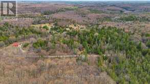 1860 NORTH ROAD | North Frontenac Ontario | Slide Image Eight