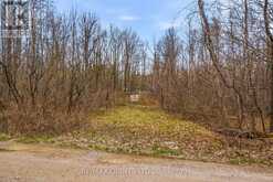 87 GULL CREEK LANE | Arden Ontario | Slide Image Two