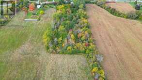 15047 COUNTY ROAD 2 ROAD | Brighton Ontario | Slide Image Fifty