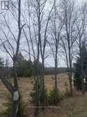 LOT 2 DETLOR ROAD | Bancroft Ontario | Slide Image Two