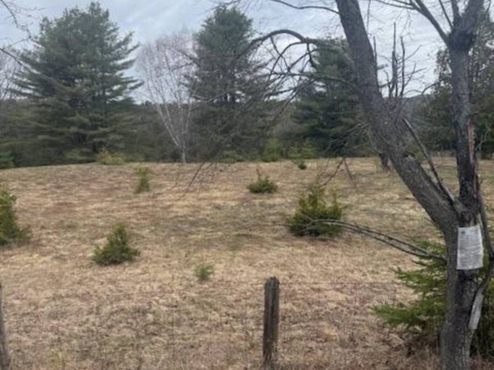 LOT 2 DETLOR ROAD, Bancroft, Ontario K0L 1C0