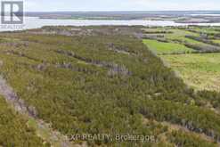 0 HIGHWAY 49 HIGHWAY W | Prince Edward Ontario | Slide Image Nine