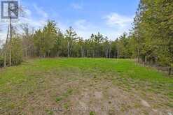 922 COUNTY ROAD 6 | North Kawartha Ontario | Slide Image Two