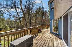 2406 NORTHEYS BAY ROAD | North Kawartha Ontario | Slide Image Thirty-six