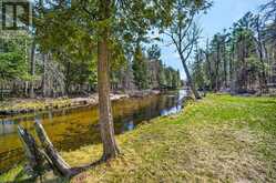 2406 NORTHEYS BAY ROAD | North Kawartha Ontario | Slide Image Forty