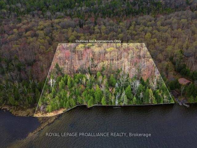 0 REKRVIEW LANE Addington Highlands Ontario, K0H 1K0 - Waterfront Land For Sale