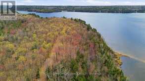 0 REKRVIEW LANE | Addington Highlands Ontario | Slide Image Sixteen