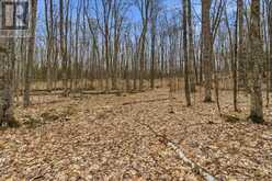 0 REKRVIEW LANE | Addington Highlands Ontario | Slide Image Six