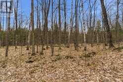0 REKRVIEW LANE | Addington Highlands Ontario | Slide Image Eight