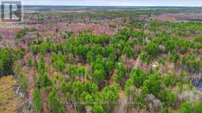265 ADDINGTON ROAD 4 | Addington Highlands Ontario | Slide Image Sixteen