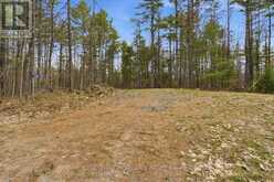 265 ADDINGTON ROAD 4 | Addington Highlands Ontario | Slide Image Two