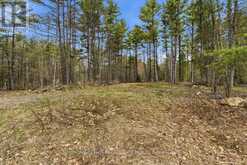 265 ADDINGTON ROAD 4 | Addington Highlands Ontario | Slide Image Three