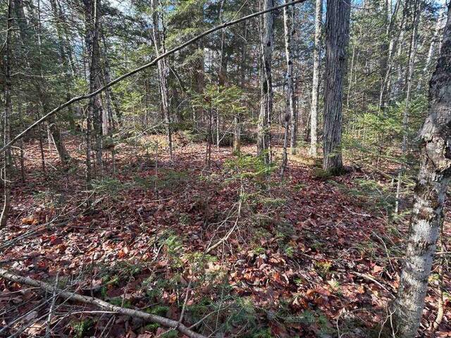 0 MILL LAKE ROAD Apsley Ontario, K0L 1A0 - Vacant Land For Sale