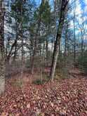 0 MILL LAKE ROAD | Apsley Ontario | Slide Image Ten
