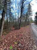 0 MILL LAKE ROAD | Apsley Ontario | Slide Image Eleven