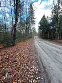 0 MILL LAKE ROAD | Apsley Ontario | Slide Image Twelve