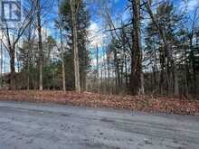 0 MILL LAKE ROAD | Apsley Ontario | Slide Image Thirteen