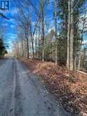 0 MILL LAKE ROAD | Apsley Ontario | Slide Image Seventeen