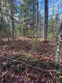 0 MILL LAKE ROAD | Apsley Ontario | Slide Image One