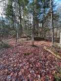 0 MILL LAKE ROAD | Apsley Ontario | Slide Image Three