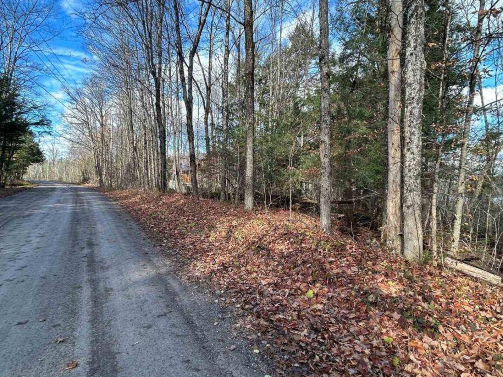 00 MILL LAKE ROAD, Apsley, Ontario K0L 1A0