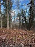 00 MILL LAKE ROAD | Apsley Ontario | Slide Image Sixteen
