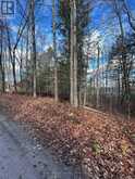 00 MILL LAKE ROAD | Apsley Ontario | Slide Image Seventeen