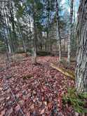 00 MILL LAKE ROAD | Apsley Ontario | Slide Image Three