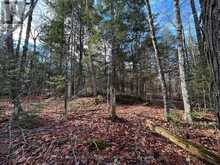 00 MILL LAKE ROAD | Apsley Ontario | Slide Image Five