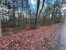 00 MILL LAKE ROAD | Apsley Ontario | Slide Image Eight